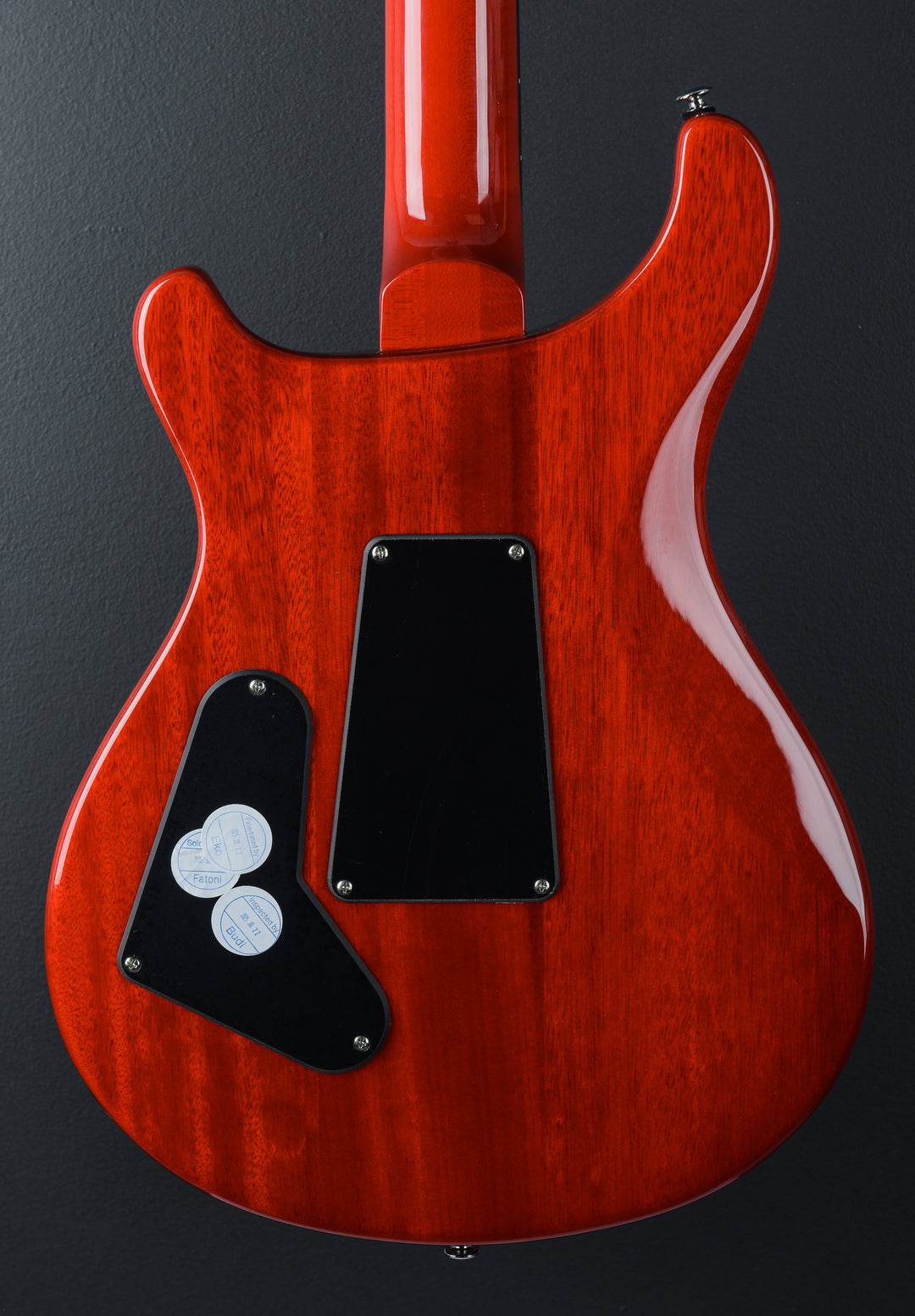 SE Custom 24 "Floyd" &