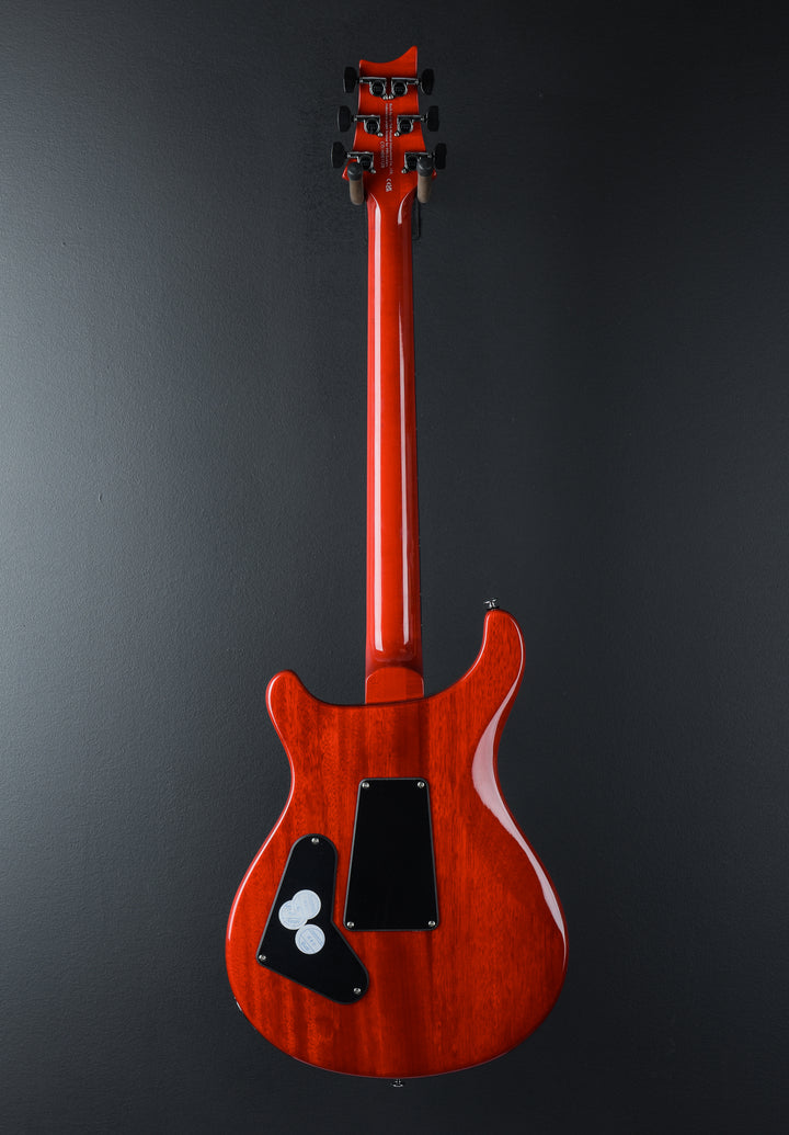 SE Custom 24 "Floyd" &