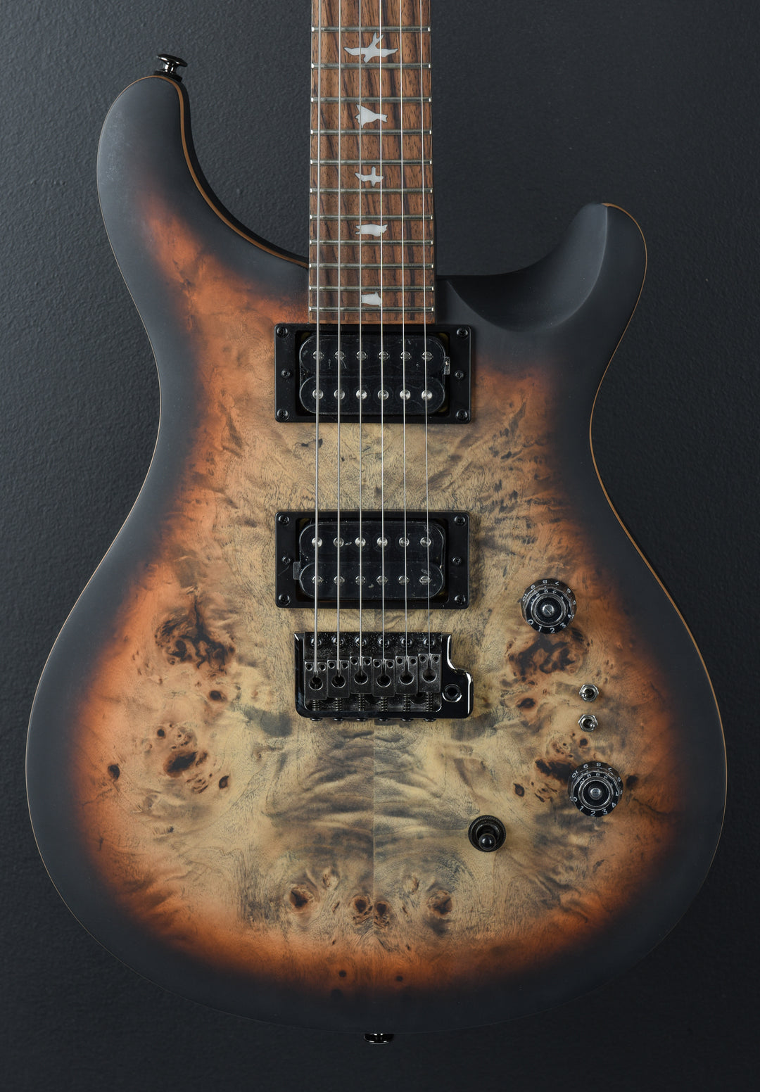 SE Custom 24-08 Poplar Burl Limited Edition &