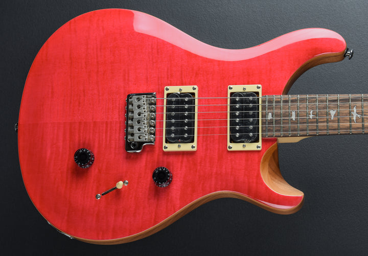 SE Custom 24 &