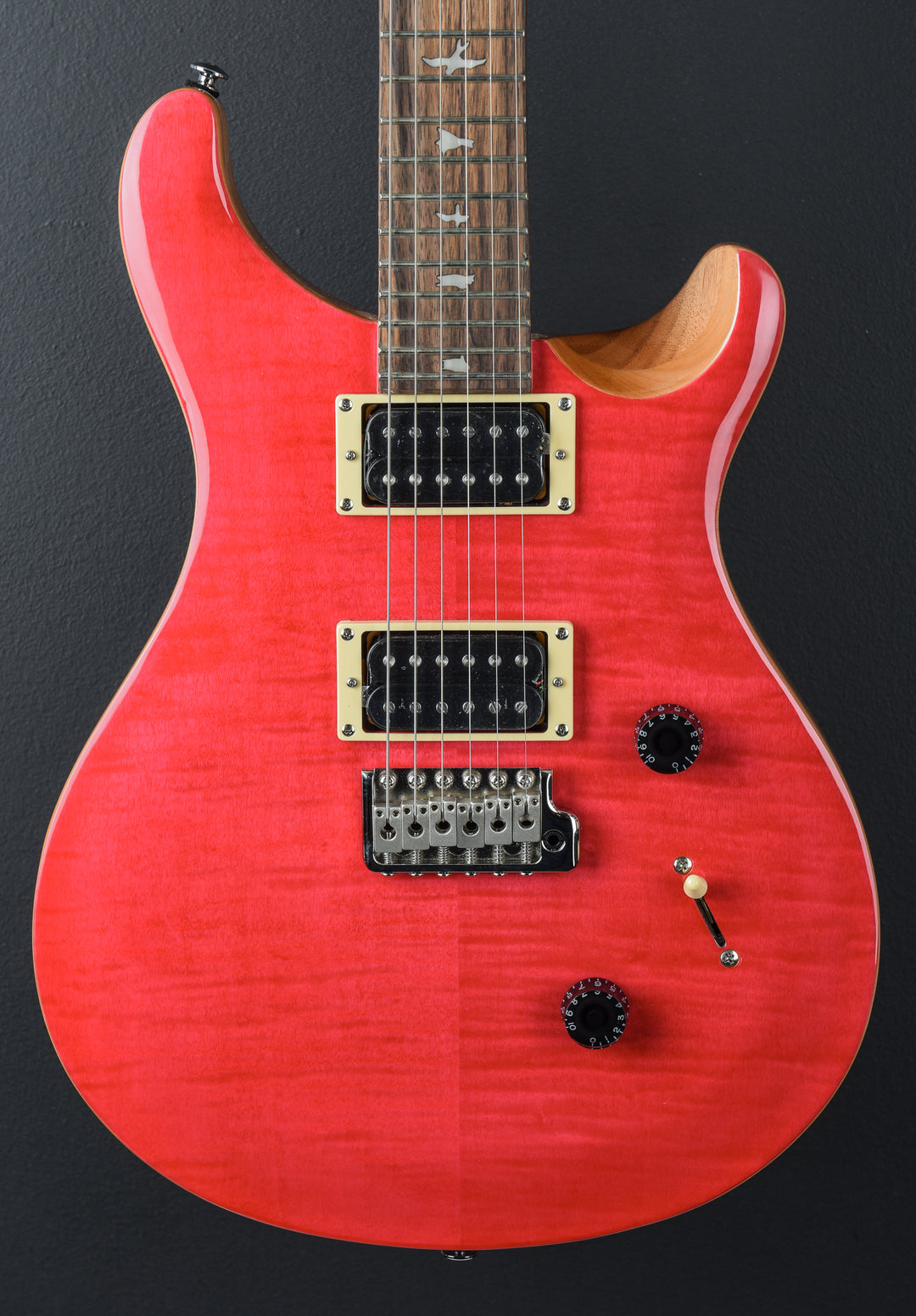 SE Custom 24 &
