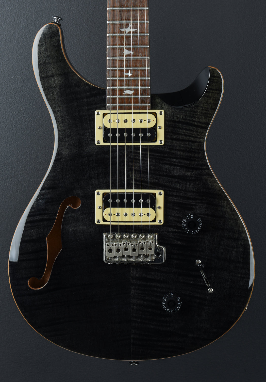 SE Custom 22 Semi-Hollow &