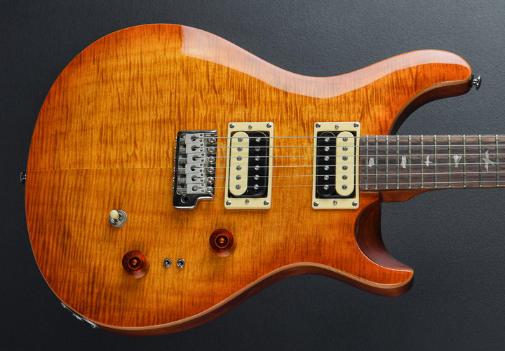 SE Custom 24-08 &
