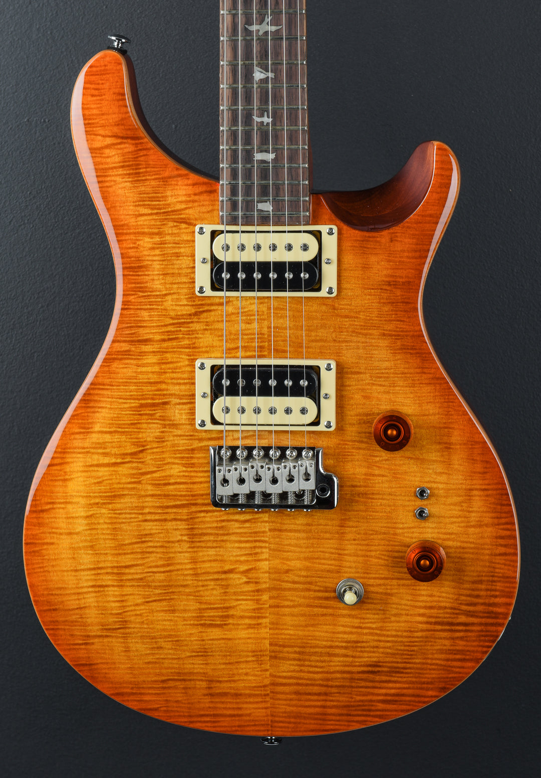 SE Custom 24-08 &