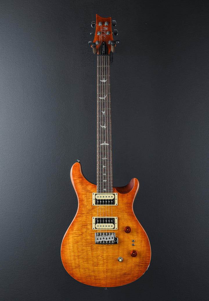 SE Custom 24-08 &