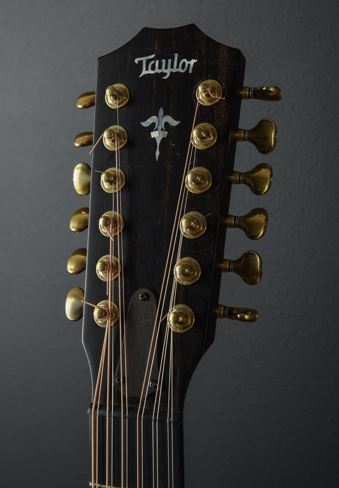 Builder’s Edition 652CE 12 String '20