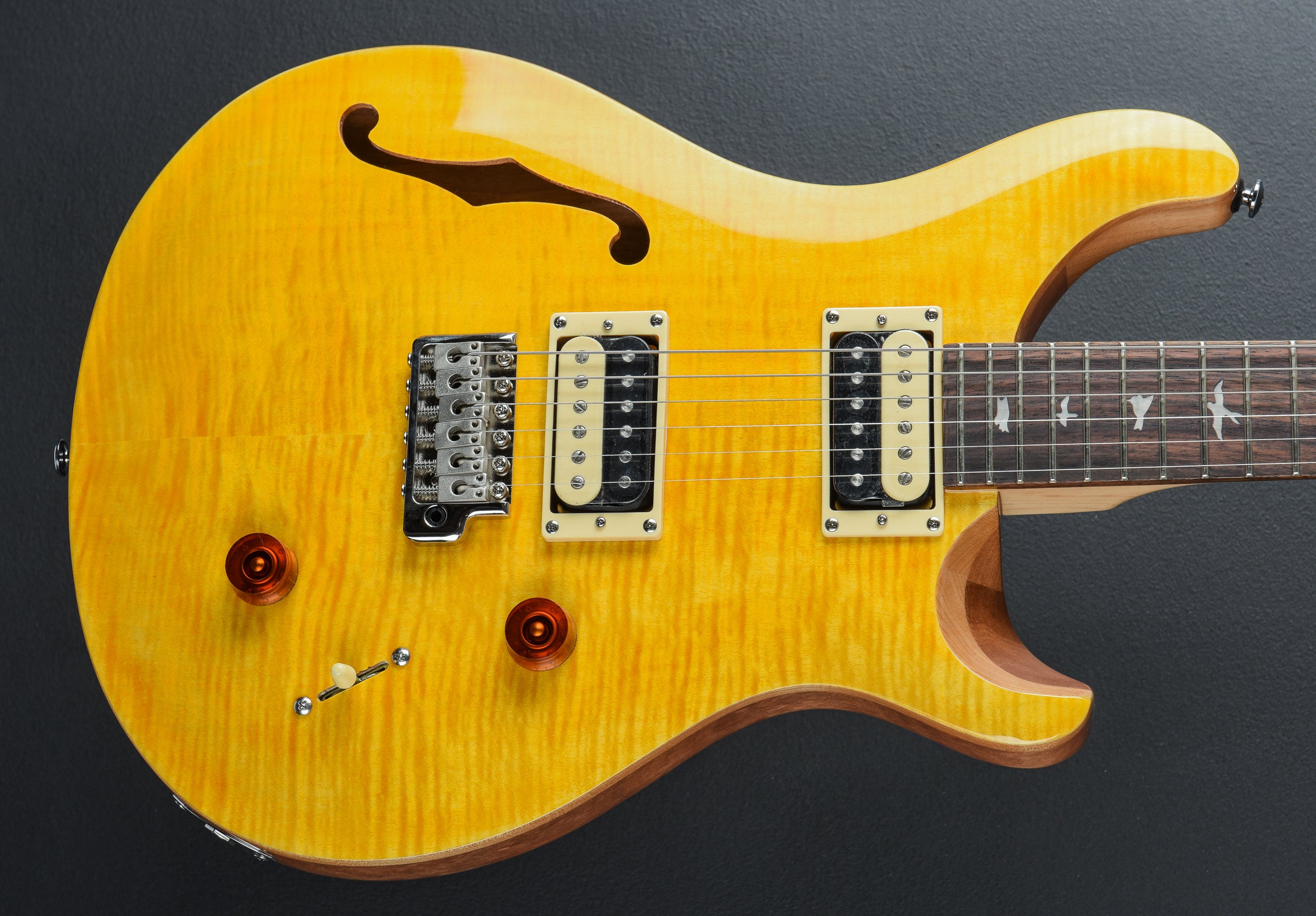 SE Custom 22 Semi-Hollow '22 – Dave's Guitar Shop