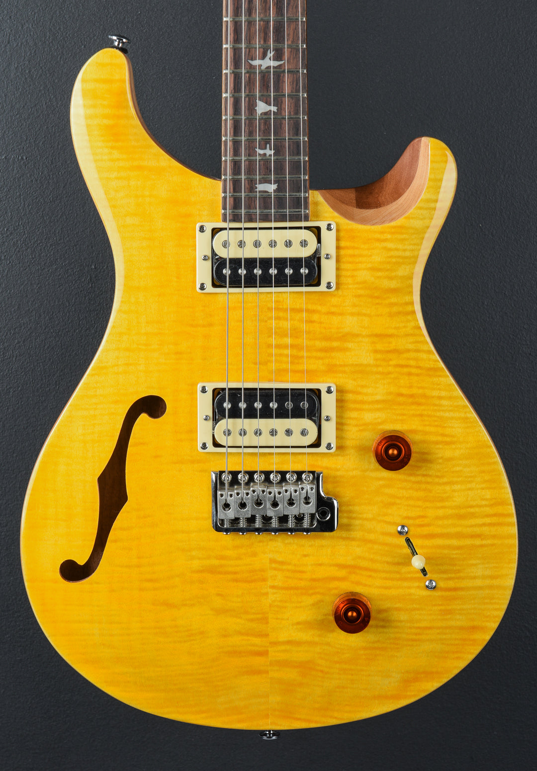 SE Custom 22 Semi-Hollow &