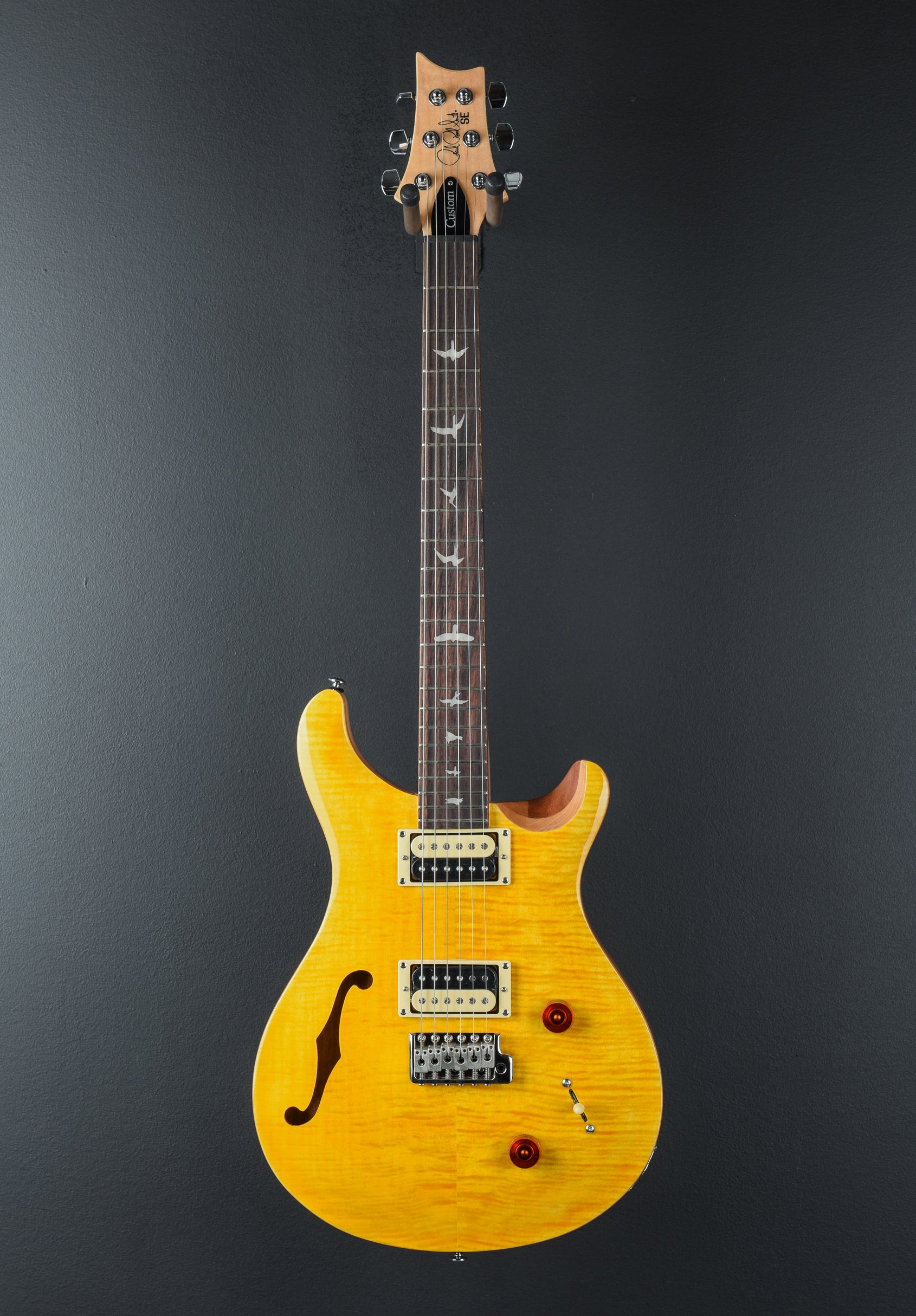 SE Custom 22 Semi-Hollow '22 – Dave's Guitar Shop