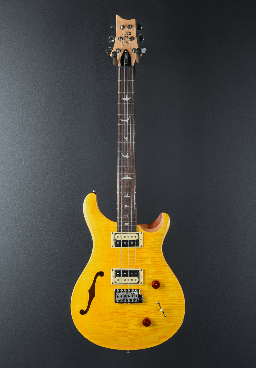 SE Custom 22 Semi-Hollow &