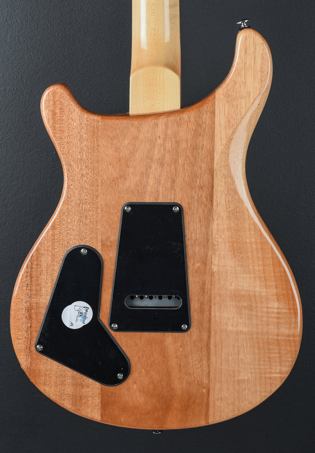 SE Custom 22 Semi-Hollow &
