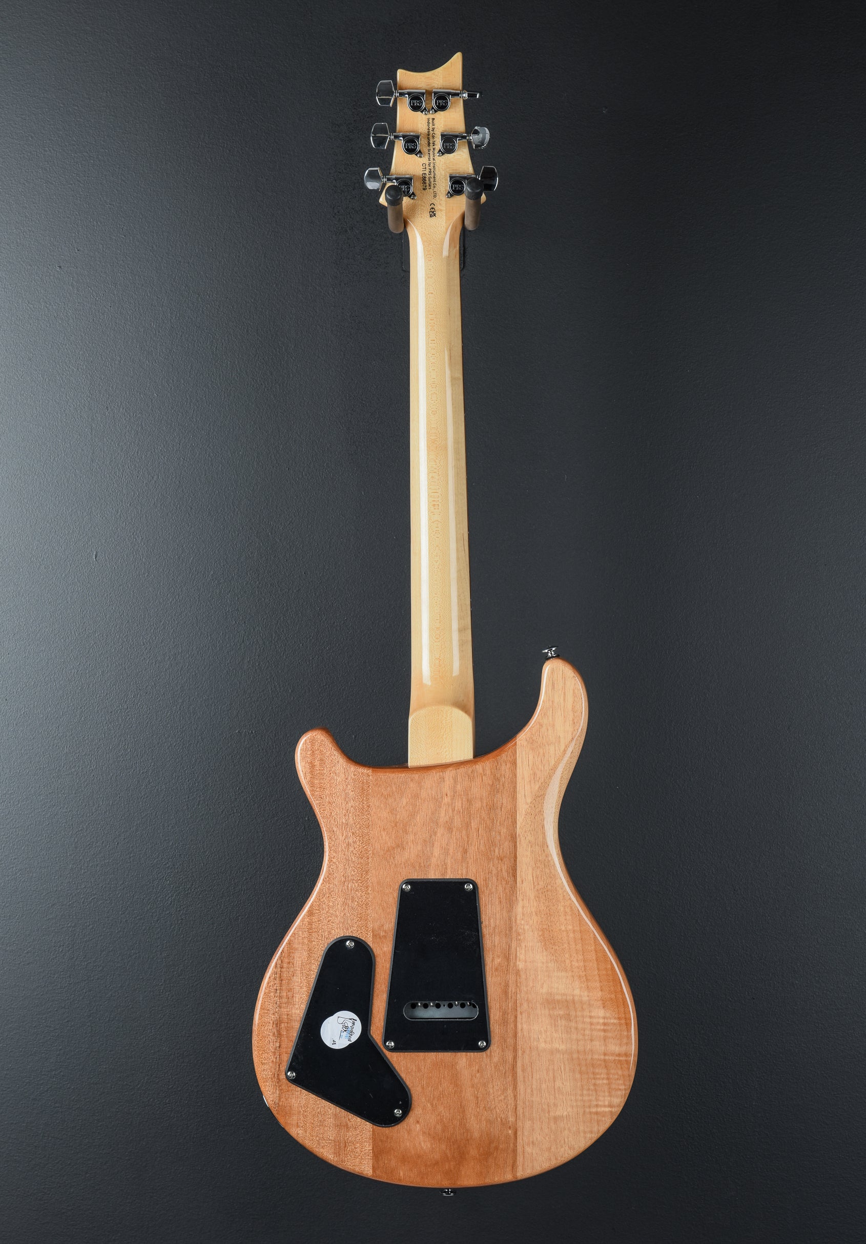 SE Custom 22 Semi-Hollow '22 – Dave's Guitar Shop