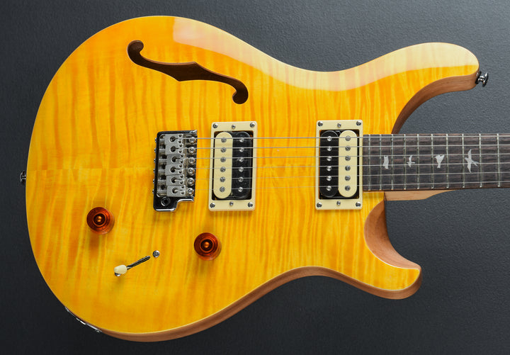 SE Custom 22 Semi-Hollow &