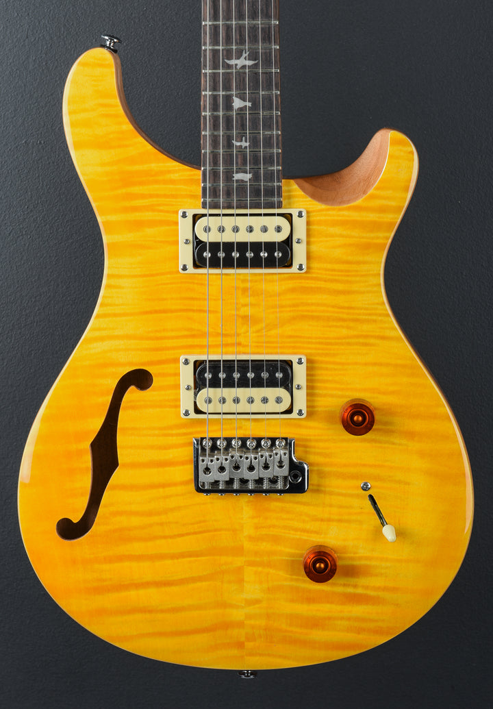 SE Custom 22 Semi-Hollow &