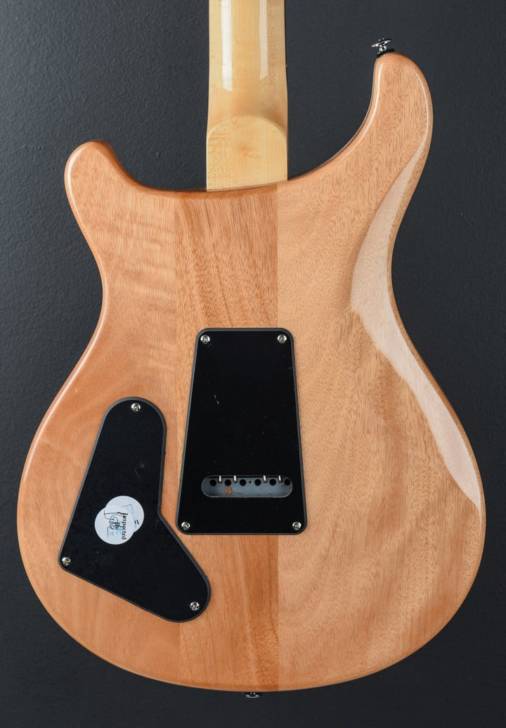 SE Custom 22 Semi-Hollow &