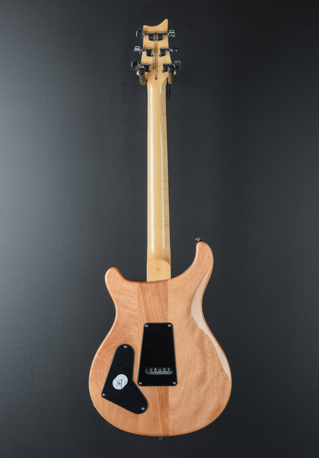 SE Custom 22 Semi-Hollow &