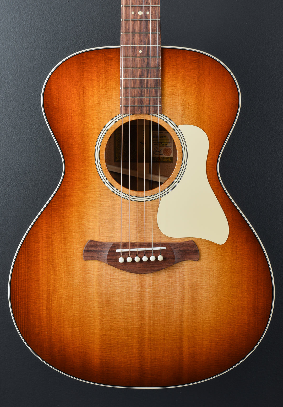 Ben Harper Gold Label 512E Special Edition