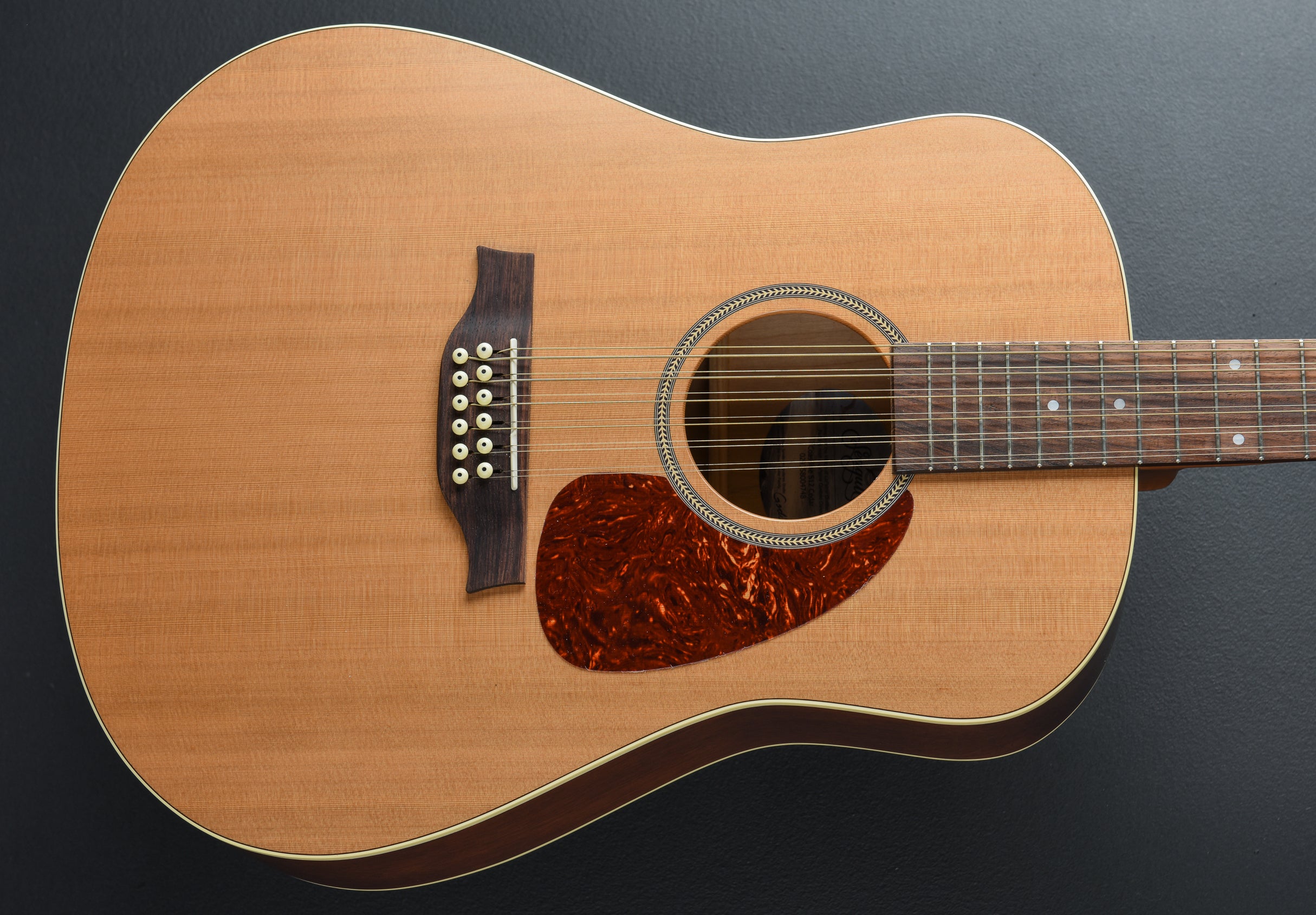 Coastline S12 Cedar, Recent – Dave's Guitar Shop