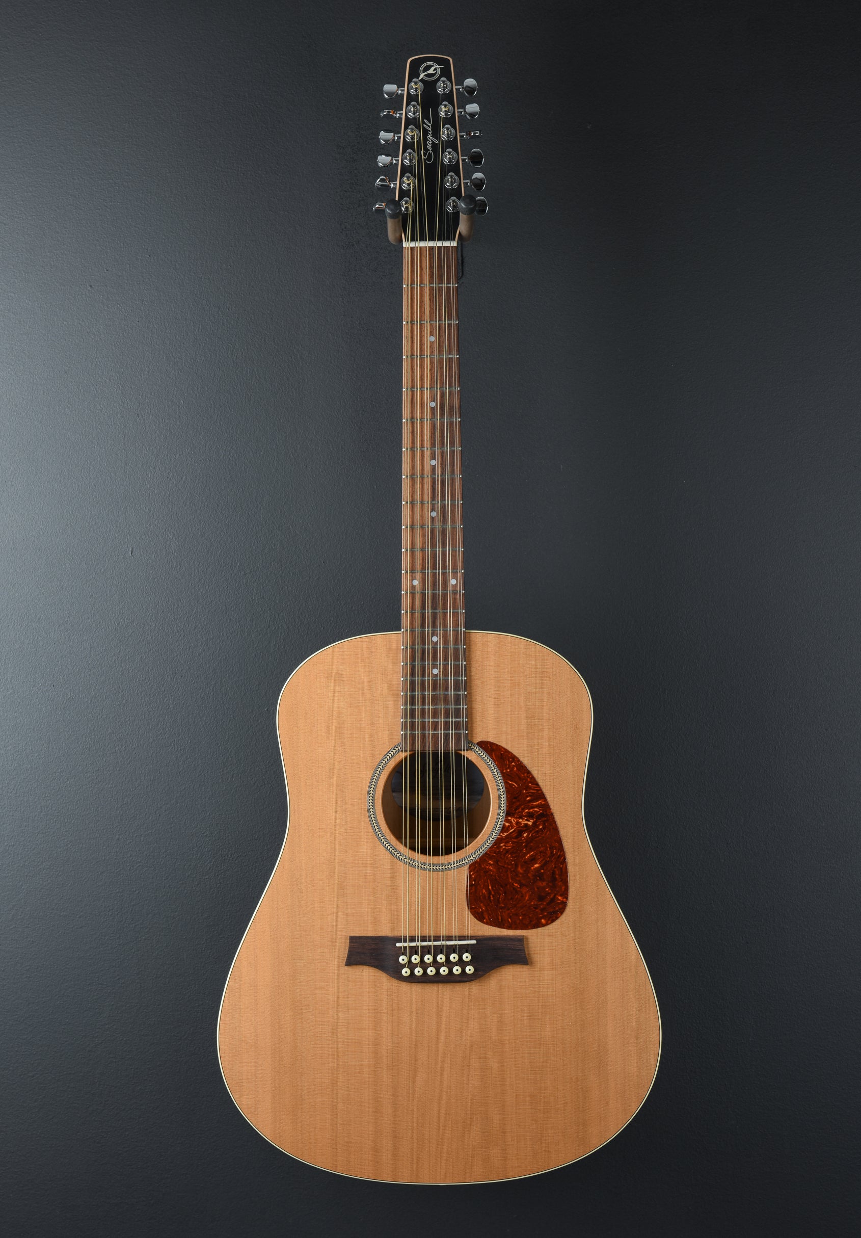 Coastline S12 Cedar, Recent – Dave's Guitar Shop