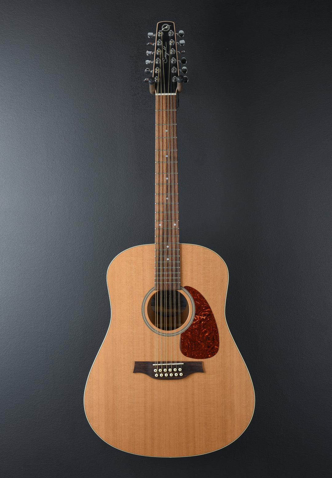 Coastline S12 Cedar, Recent