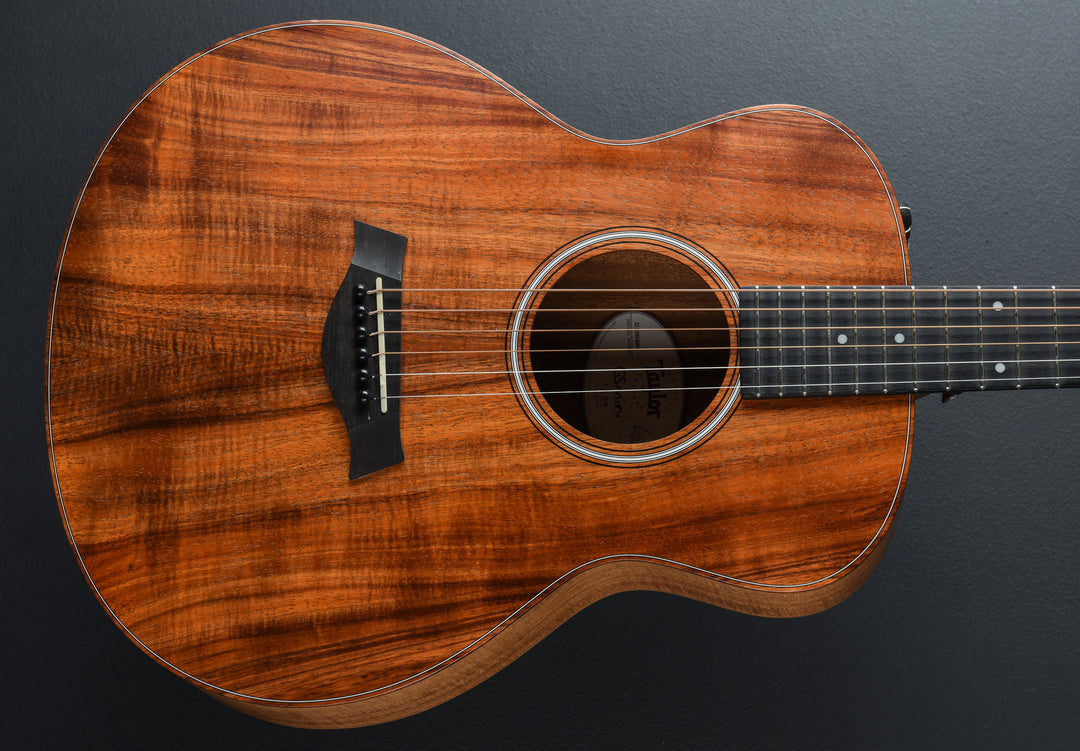 USED GS Mini-e Koa &