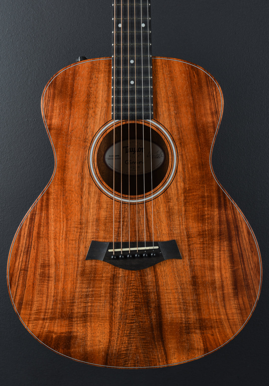 USED GS Mini-e Koa &