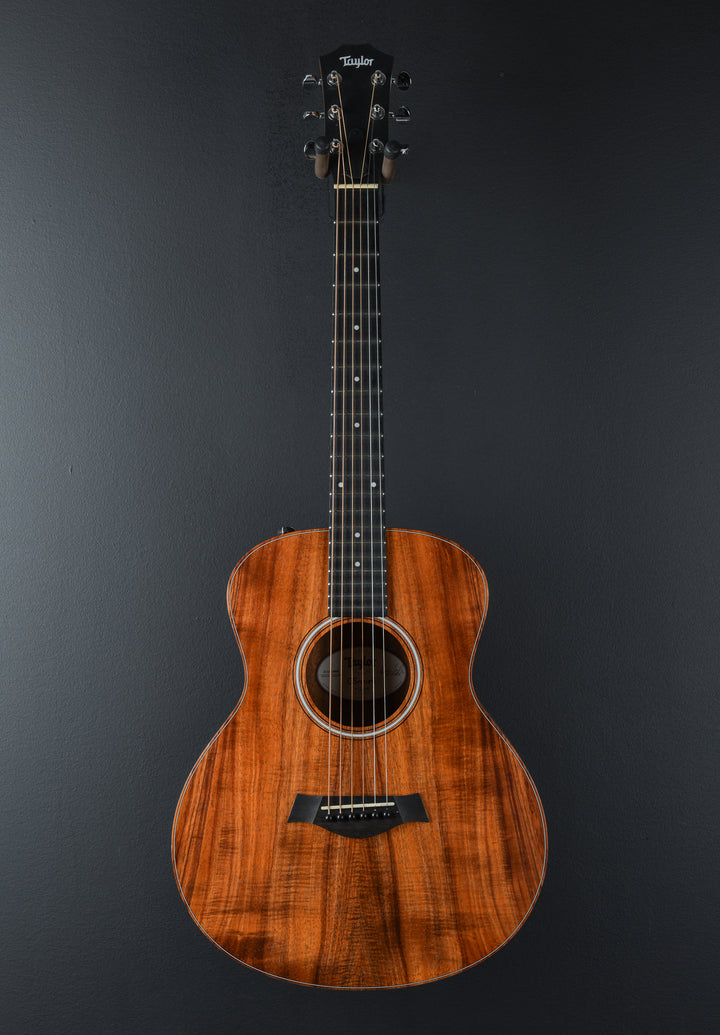 USED GS Mini-e Koa &