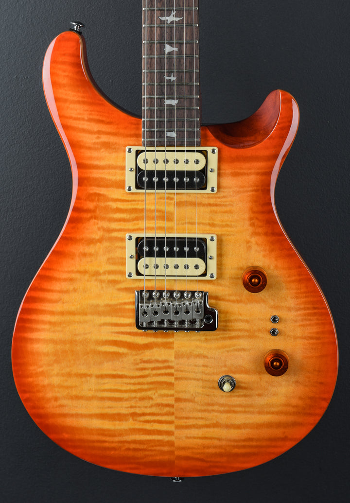 SE Custom 24-08 &