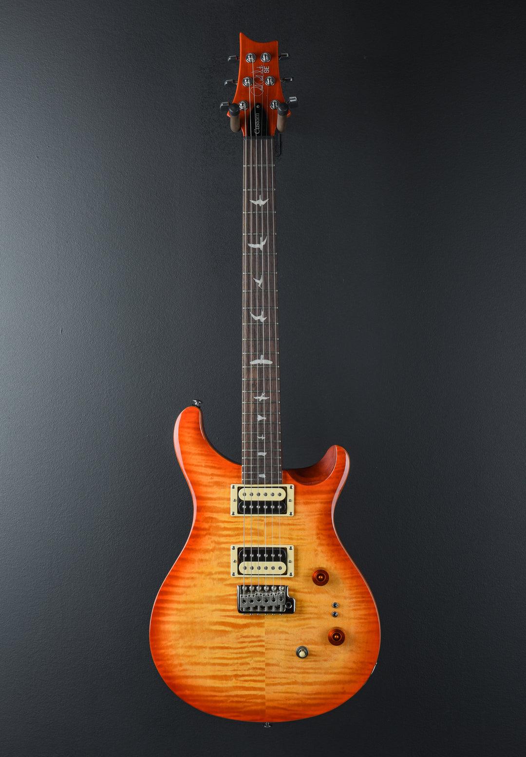 SE Custom 24-08 &