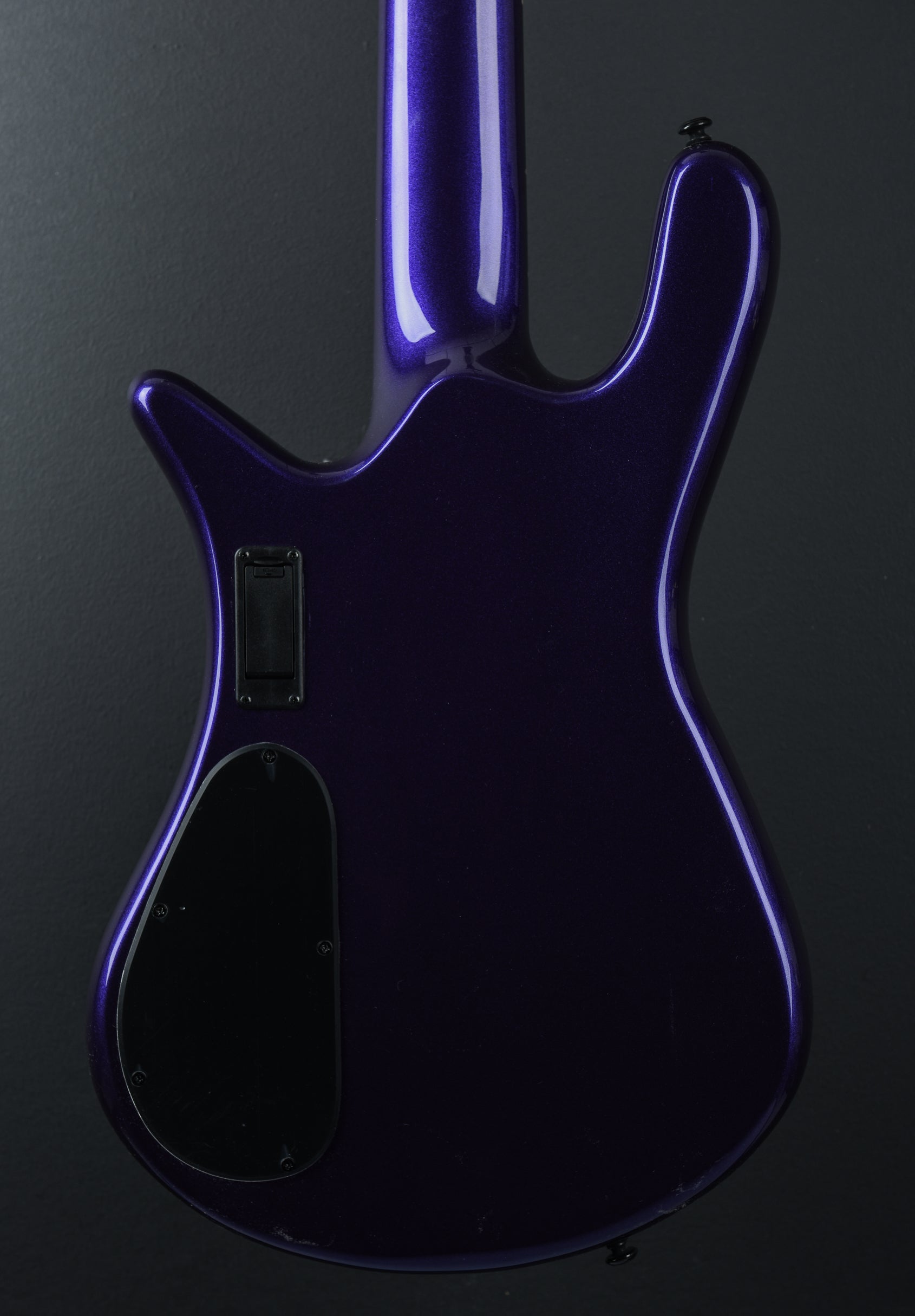 ギター ns NS Dimension 5 - Spector Bass