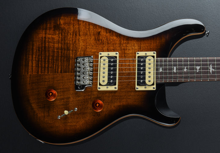SE Custom 24 &