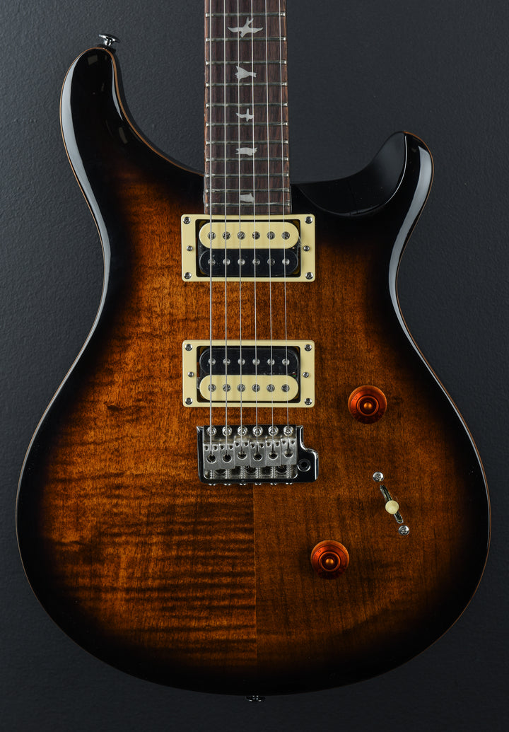 SE Custom 24 &