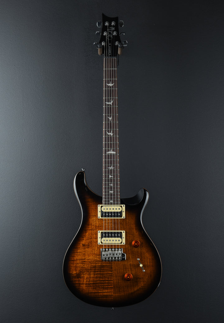 SE Custom 24 &