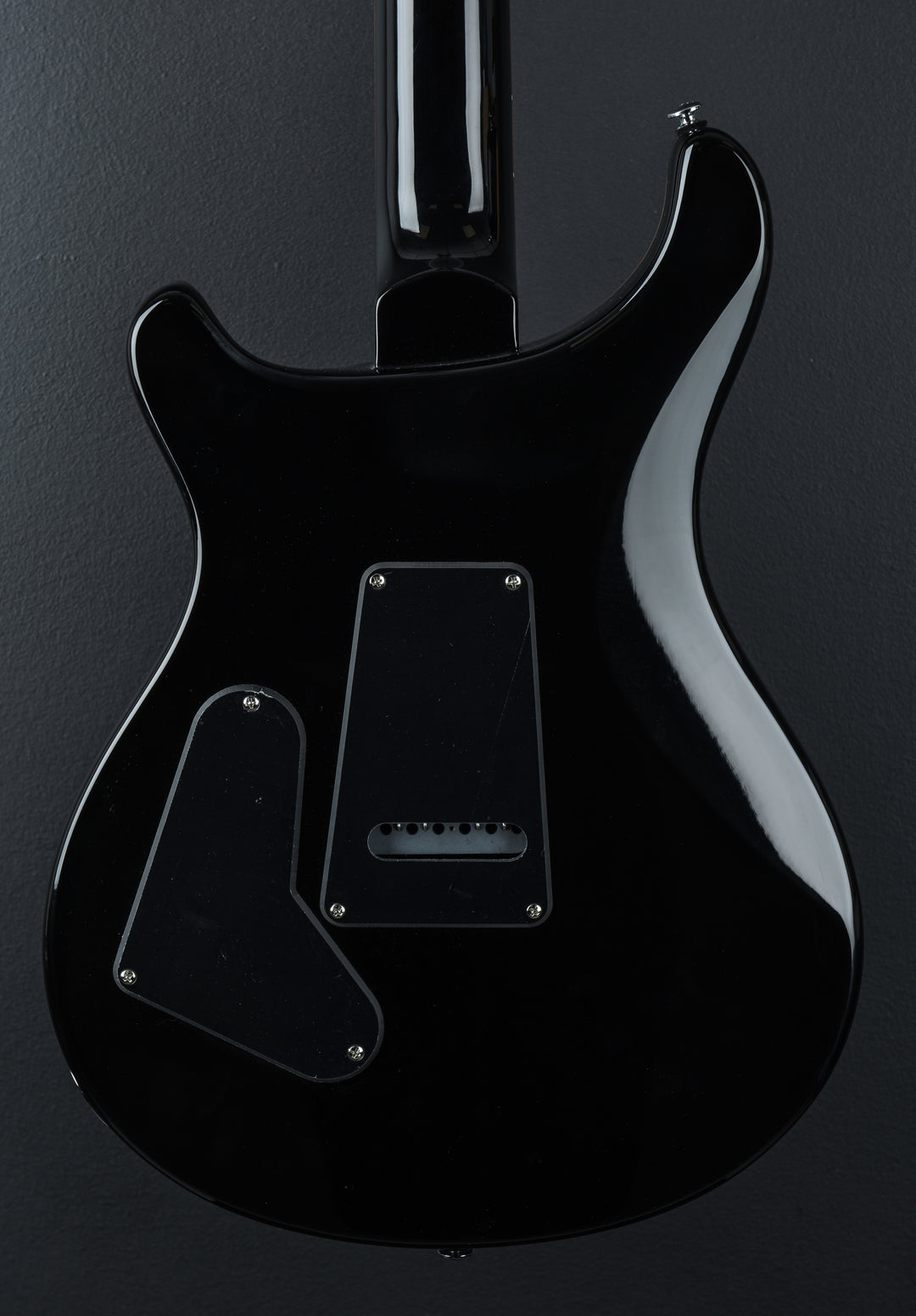 SE Custom 24 &