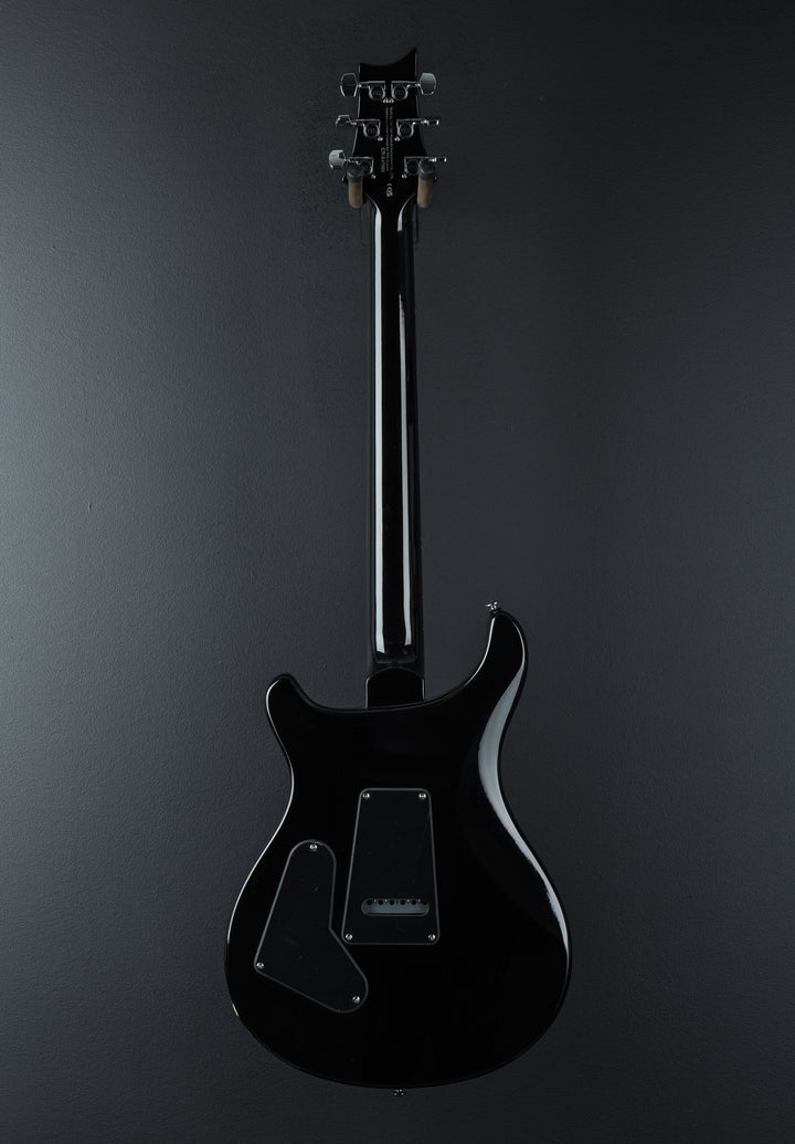 SE Custom 24 &