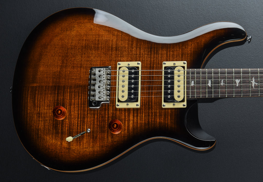 SE Custom 24 &