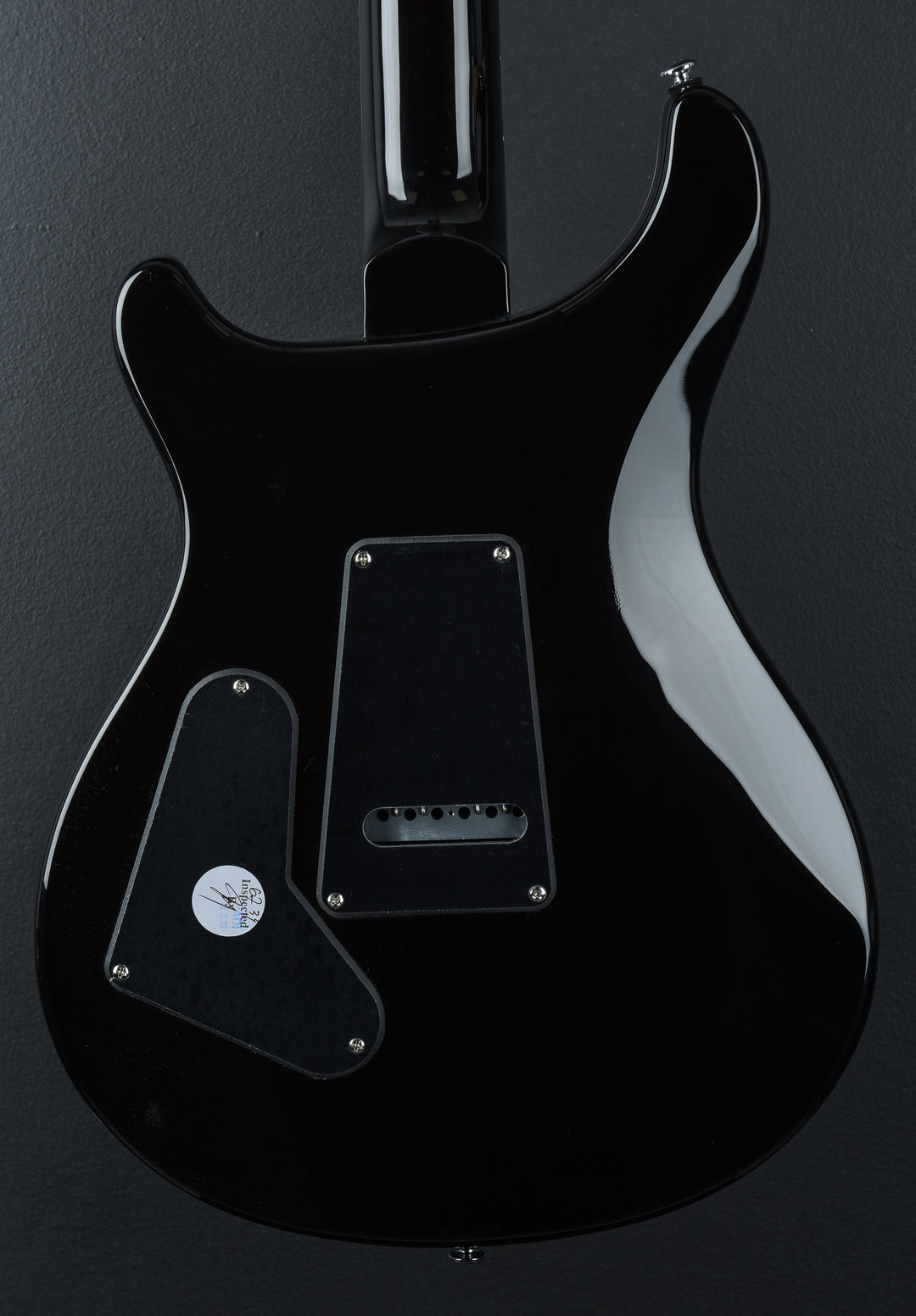 SE Custom 24 &