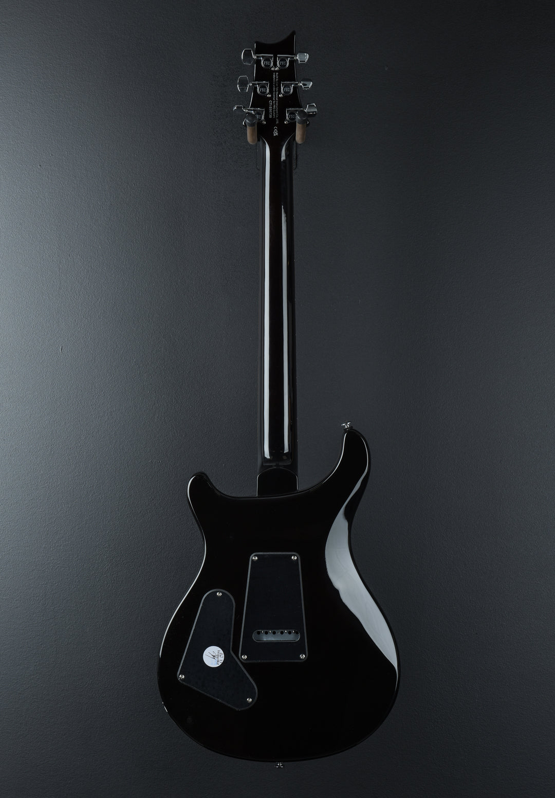 SE Custom 24 &