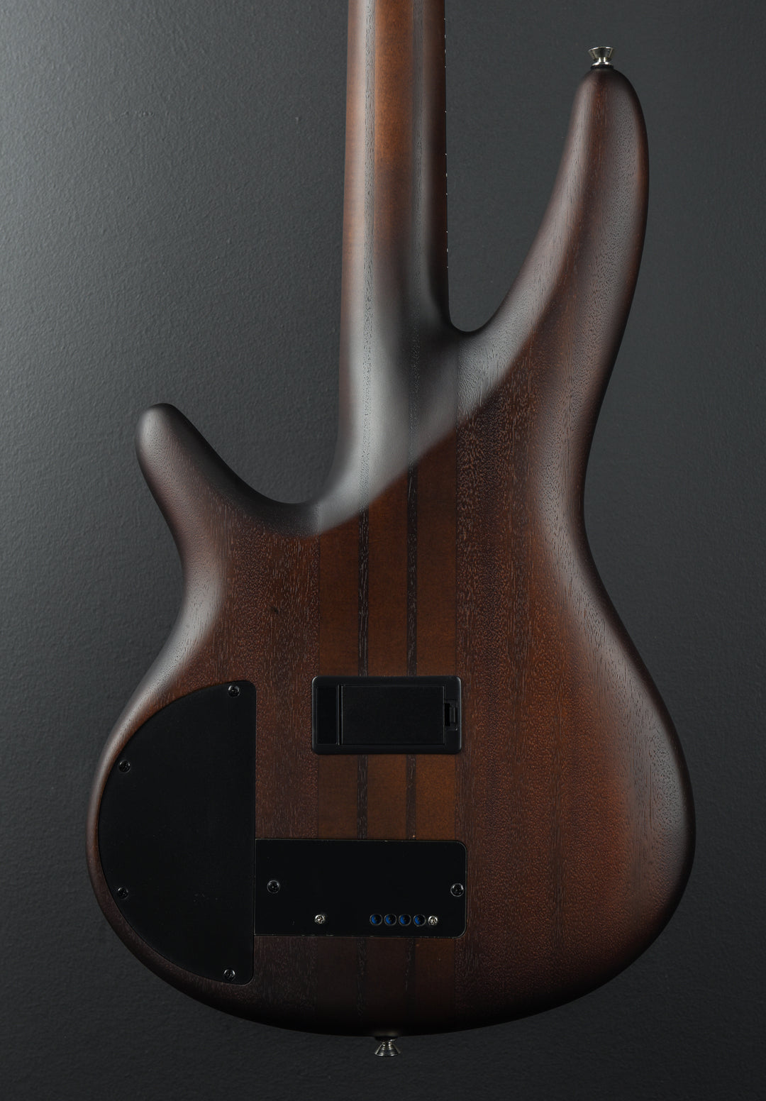 SRF700 Fretless Bass '24