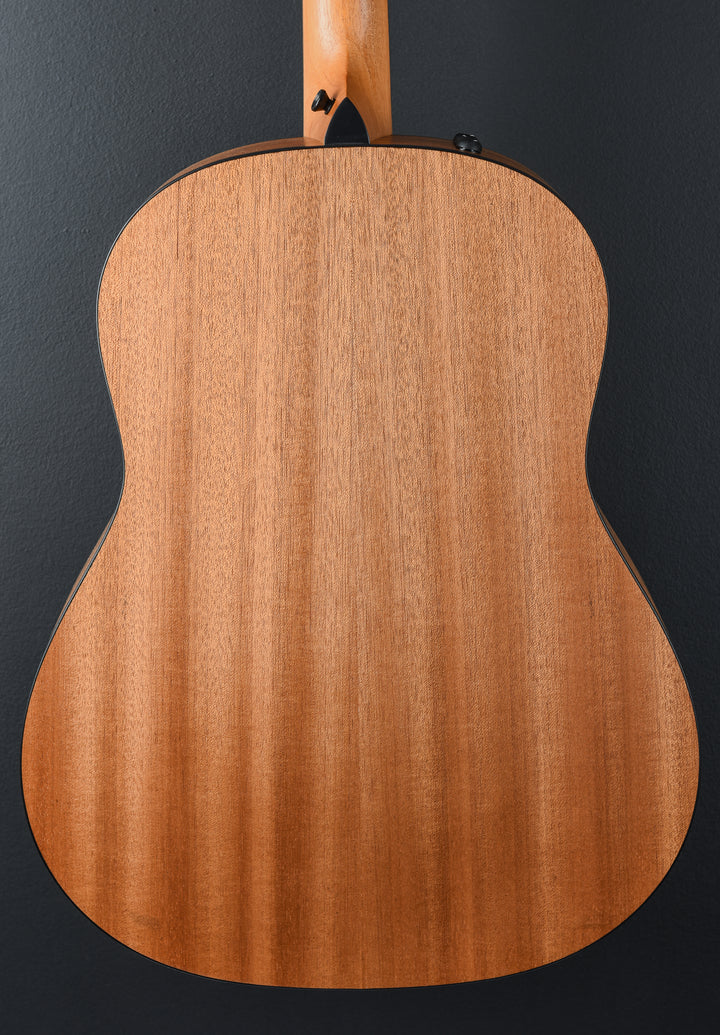 USED 117E Special Edition SB &
