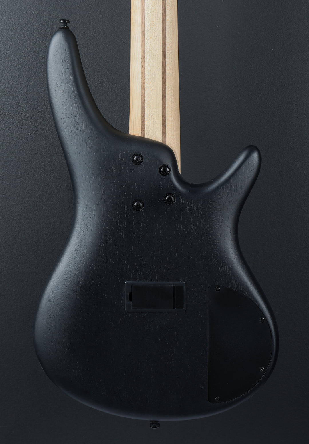 SR305EBL Bass