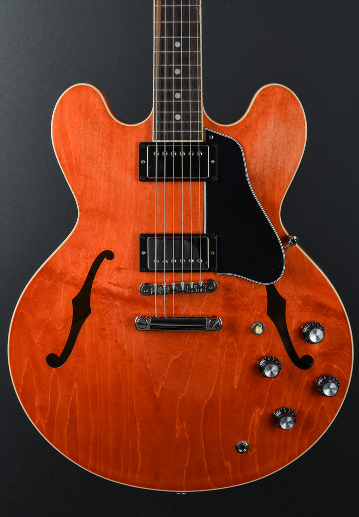 ES-335 Custom Color - Watermelon
