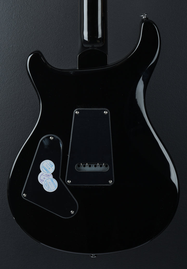SE Custom 24 &