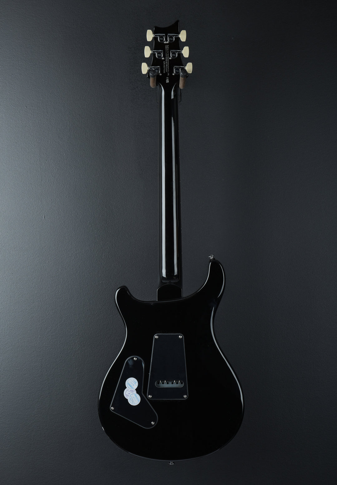 SE Custom 24 &