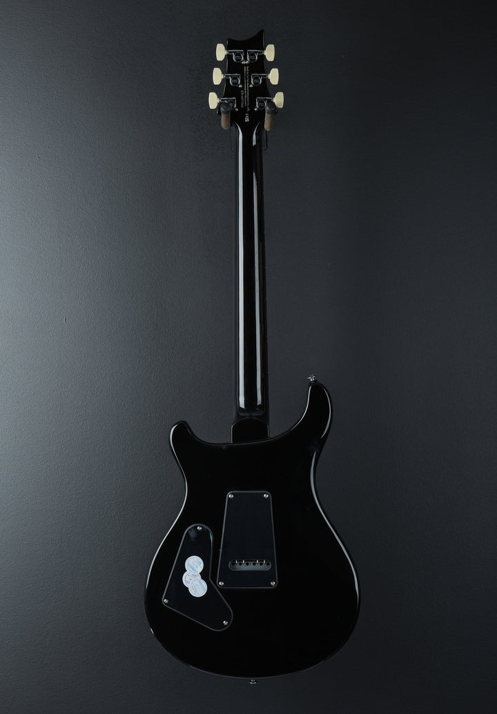 SE Custom 24 &
