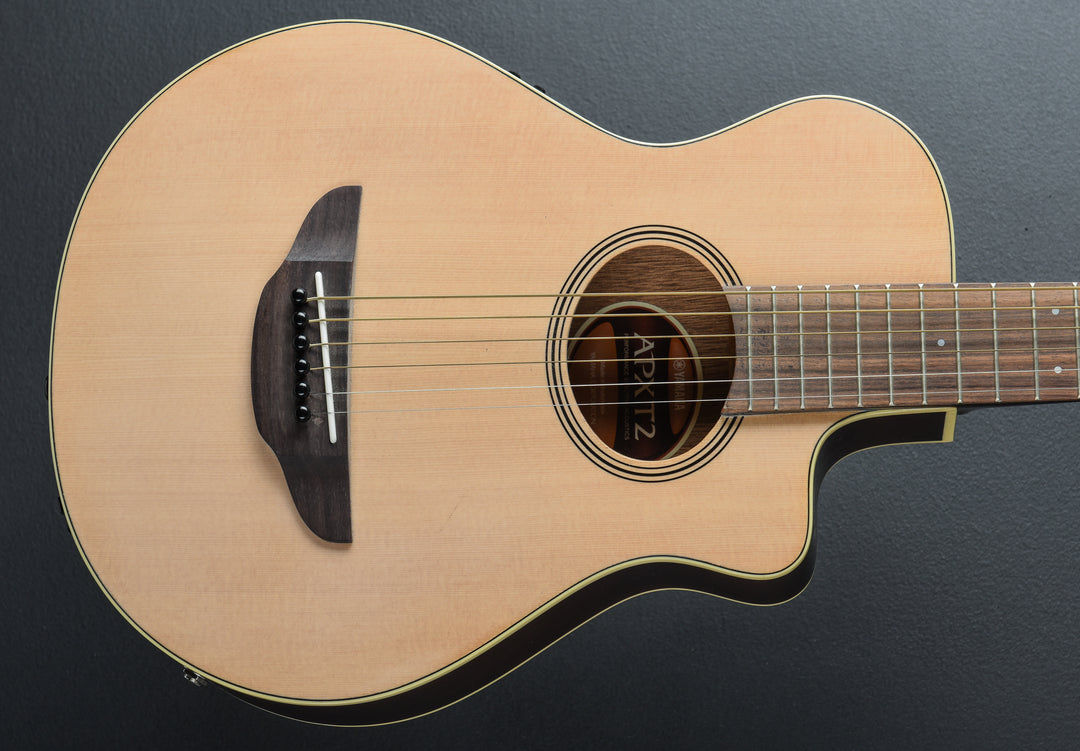 APXT2 3/4-Size Thinline Acoustic &