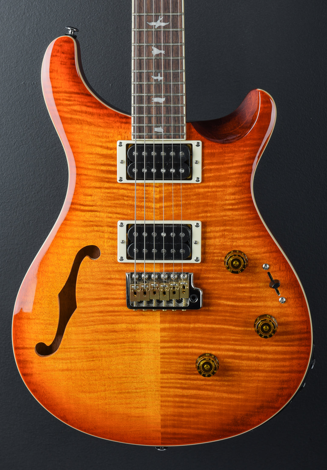 SE Custom 24 Semi Hollow Piezo &