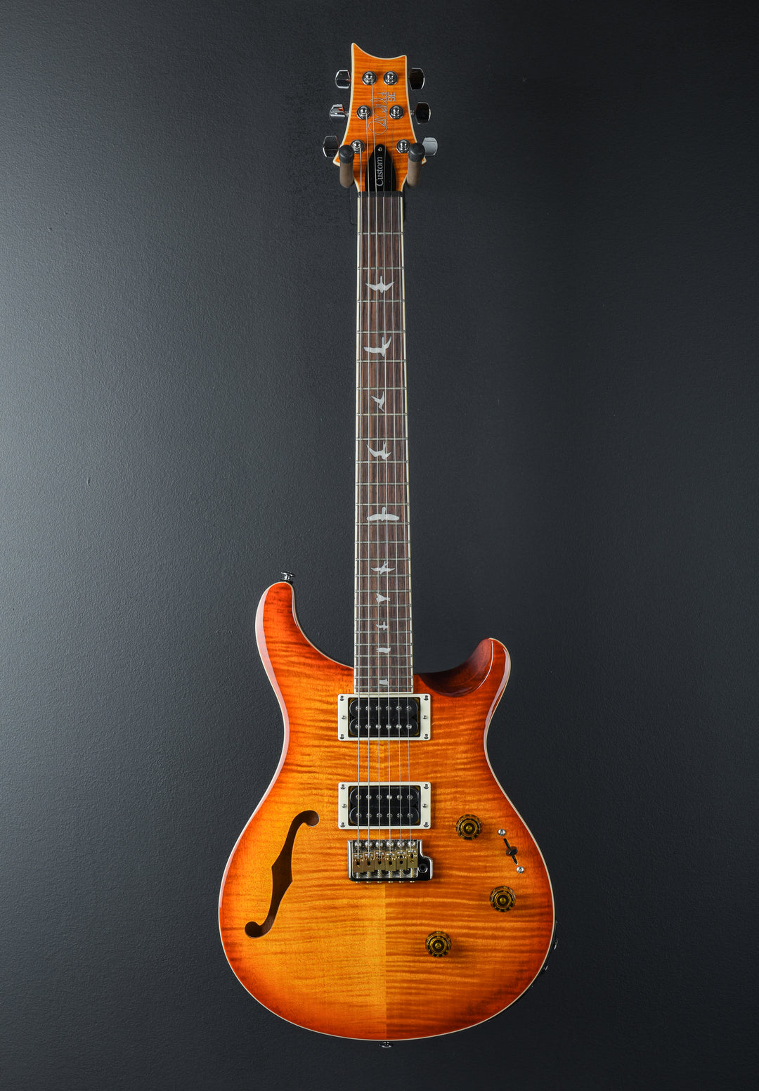 SE Custom 24 Semi Hollow Piezo &
