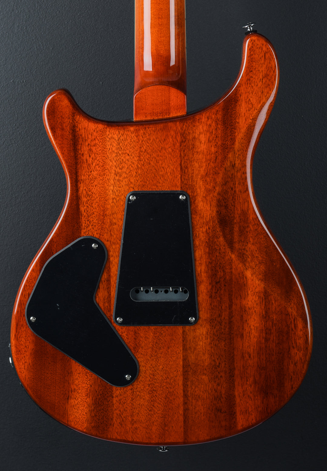 SE Custom 24 Semi Hollow Piezo &