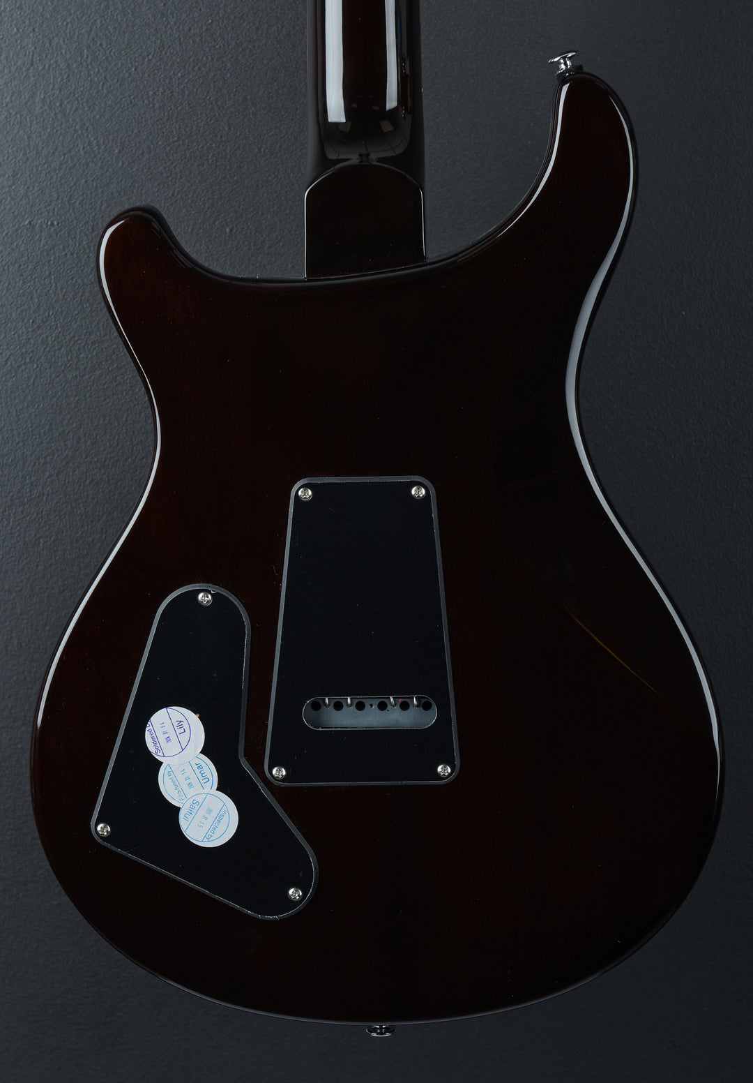 SE Special Semi Hollow &